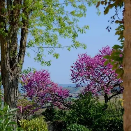 Gite - Holiday Home Vent Autan Apartment